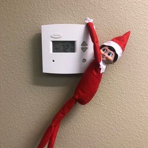 Meet your Posher, Heidi